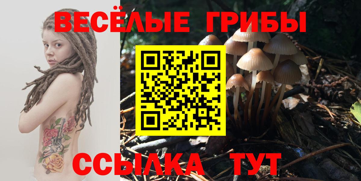 Галлюциногенные грибы MAGIC MUSHROOMS Александров