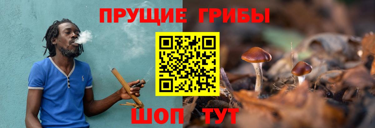 Александров  сколько стоит  Вход с VPN  Галлюциногенные грибы мицелий 